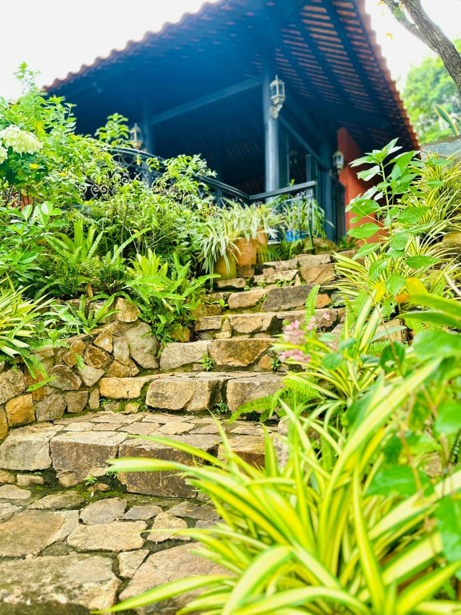 Binh An Village Vung Tau Bagian luar foto