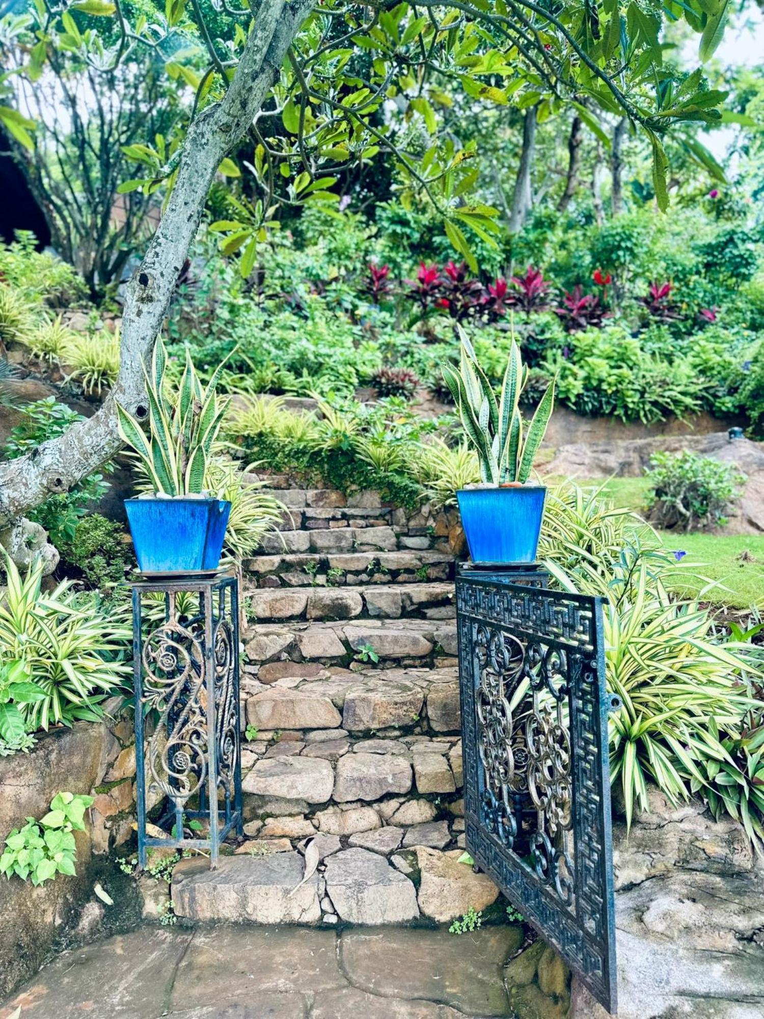 Binh An Village Vung Tau Bagian luar foto
